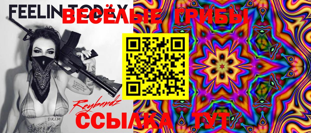 Тихвин  Галлюциногенные грибы Psilocybe  Вход с VPN 