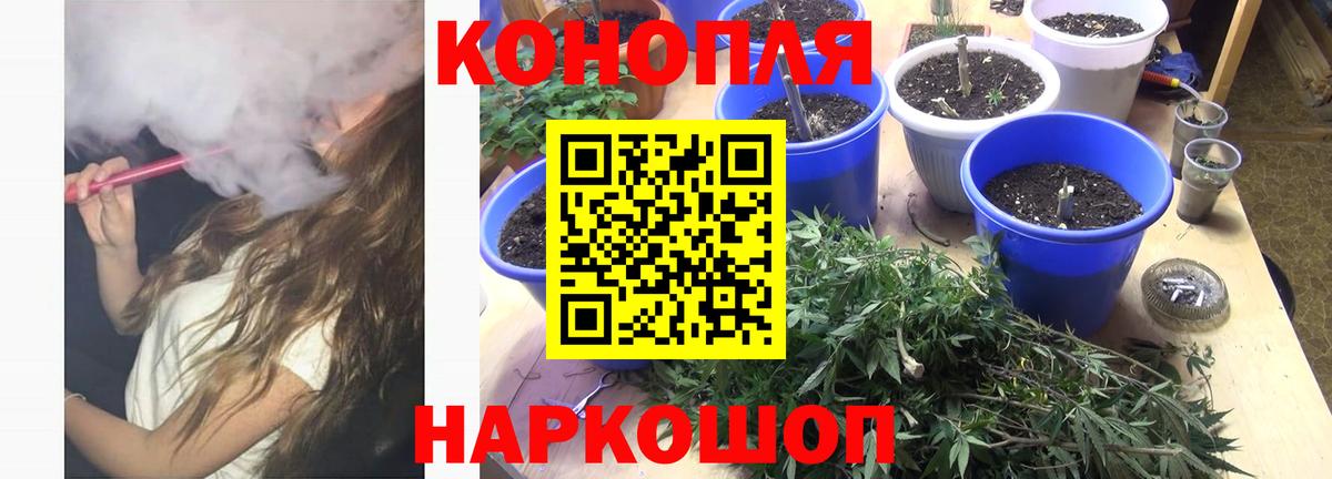 Конопля конопля  Канабис LSD WEED  Тихвин  Каннабис тримм  Вход с VPN 